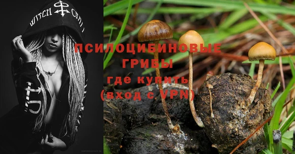 героин Алзамай