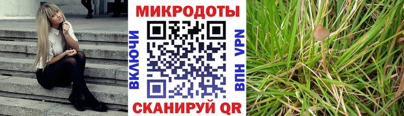 закладки  Котлас  omg ссылка  Псилоцибиновые грибы Psilocybe 